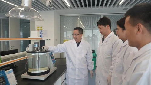 陕煤集团获省级五一劳动表彰 新材料技术研发的领军力量